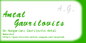 antal gavrilovits business card
